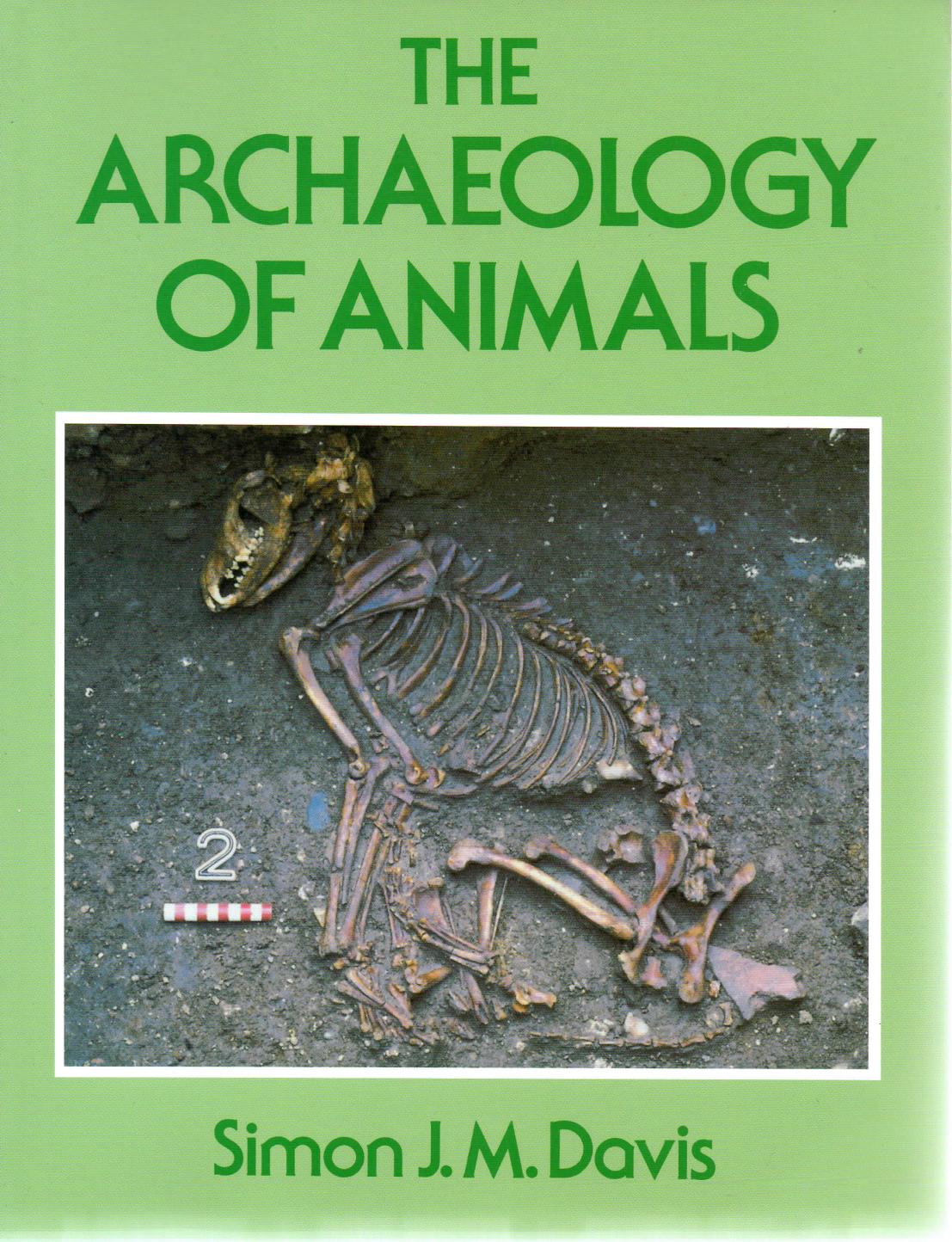 Davis by The Archaeology of Animals