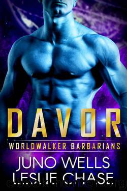 Davor by Leslie Chase & Juno Wells