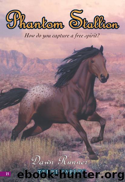 Dawn Runner by Terri Farley