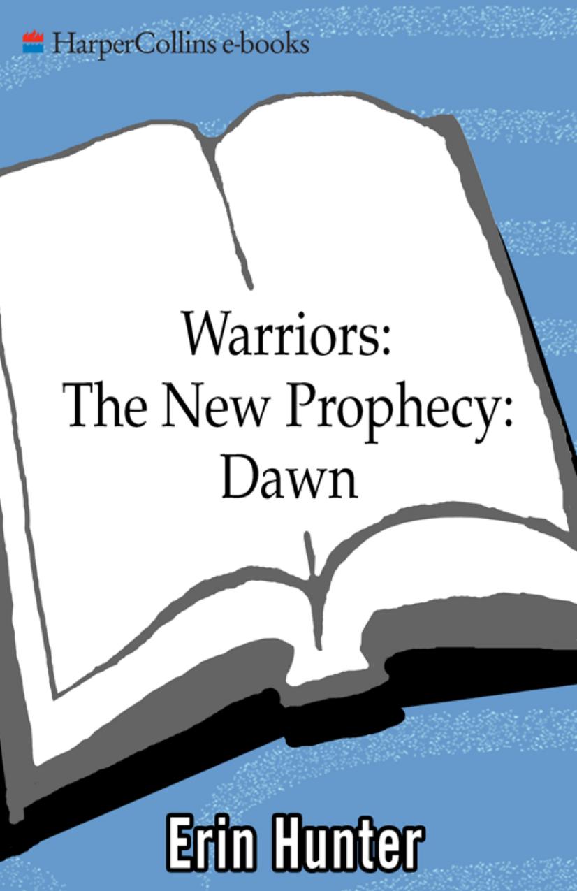 Dawn by Erin Hunter