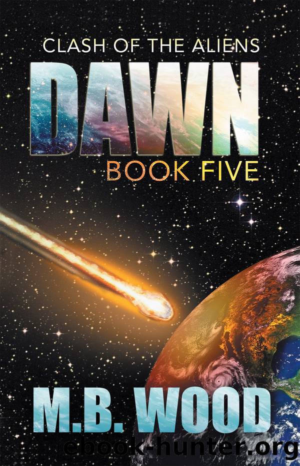 Dawn by M.B. Wood