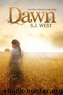 Dawn by S. J. West