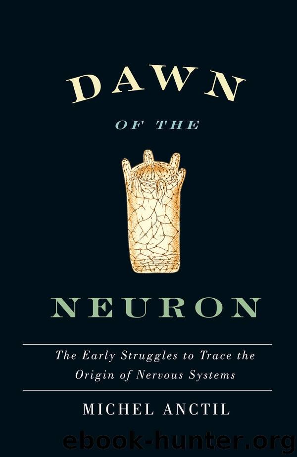 Dawn of the Neuron by Michel Anctil
