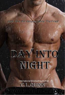 Day Into Night by C.L. Quinn