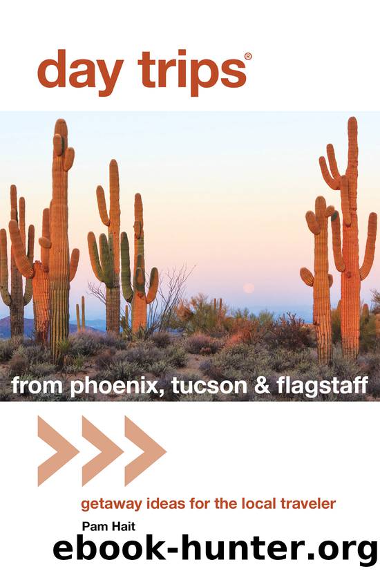 Day Trips&#174; from Phoenix, Tucson & Flagstaff by Pam Hait