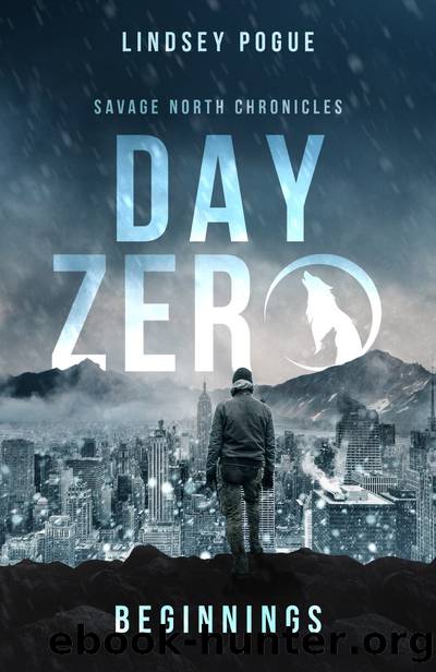 Day Zero by Lindsey Pogue
