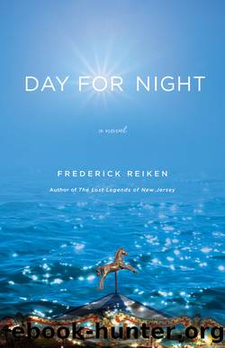 Day for Night by Frederick Reiken