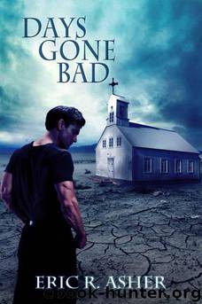 Days Gone Bad by Asher Eric
