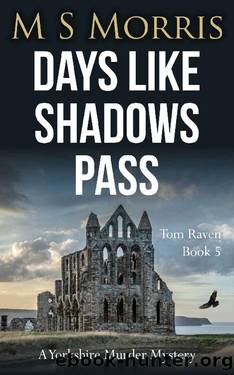 Days Like Shadows Pass by M S Morris