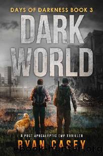 Days of Darkness (Book 3): Dark World by Casey Ryan