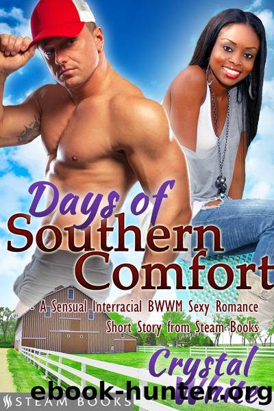 Days of Southern Comfort--A Sensual Interracial BWWM Sexy Romance Short Story from Steam Books by Crystal White