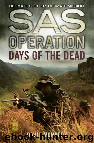 Days of the Dead by David Monnery
