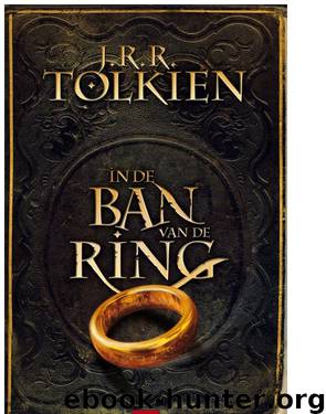 De Heer der Ringen 3 - De Terugkeer van de Koning by J.R.R. Tolkien