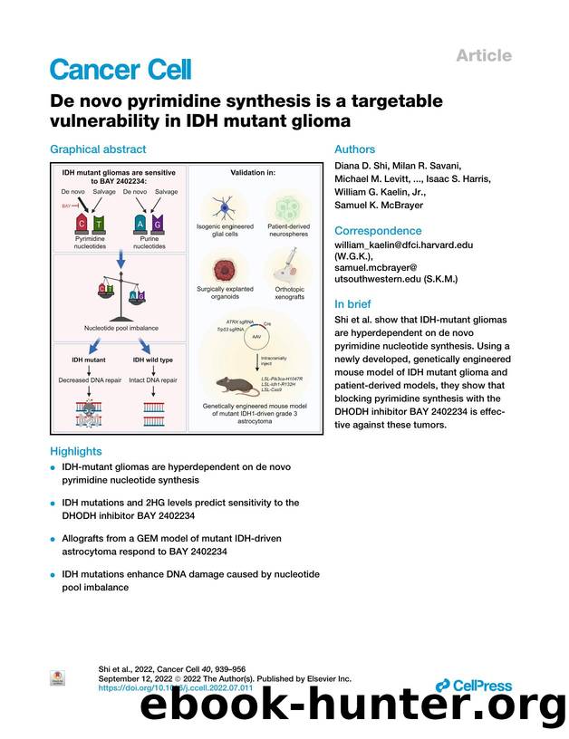 De novo pyrimidine synthesis is a targetable vulnerability in IDH mutant glioma by unknow