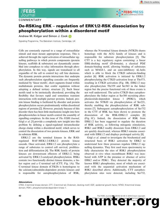DeâRSKing ERK â regulation of ERK12âRSK dissociation by phosphorylation within a disordered motif by Unknown