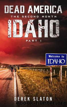 Dead America - Idaho Pt. 1 (Dead America - The Second Month Book 7) by Derek Slaton
