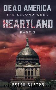 Dead America_The Second Week_Heartland_Part 3 by Derek Slaton