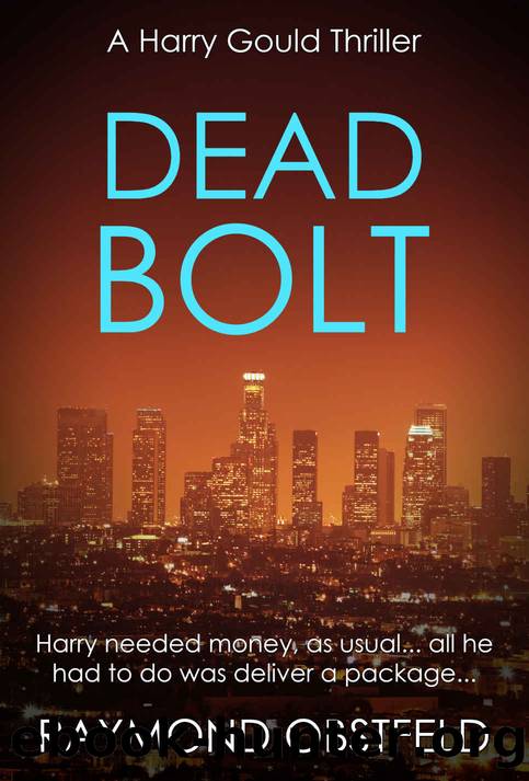 Dead Bolt (Harry Gould Thriller Book 4) by Raymond Obstfeld