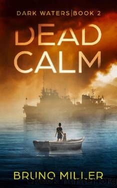 Dead Calm: A Post-Apocalyptic EMP Survival series (Dark Waters Book 2) by Bruno Miller