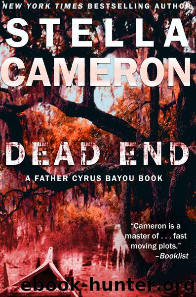 Dead End by Cameron Stella