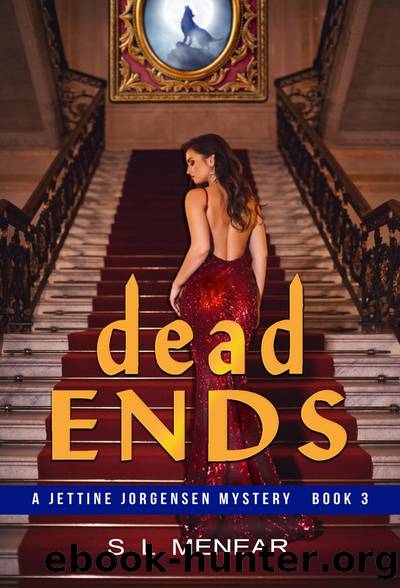 Dead Ends (A Jettine Jorgensen Mystery, Book 3) by S.L. Menear