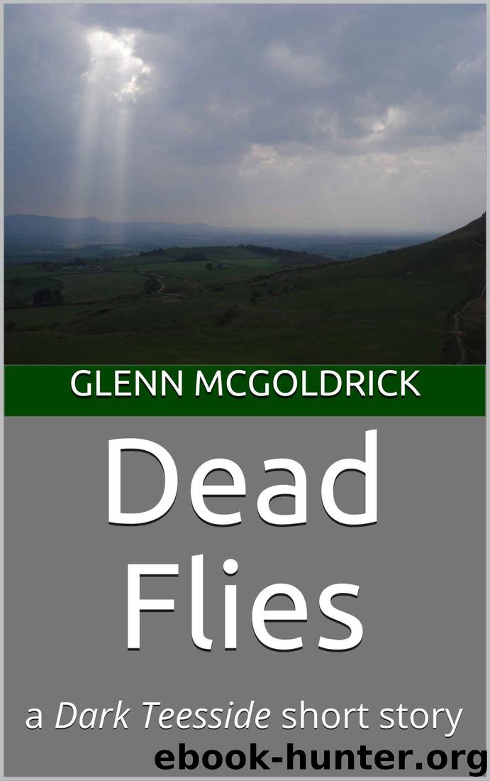 Dead Flies by Glenn McGoldrick
