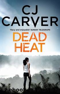 Dead Heat by CJ Carver