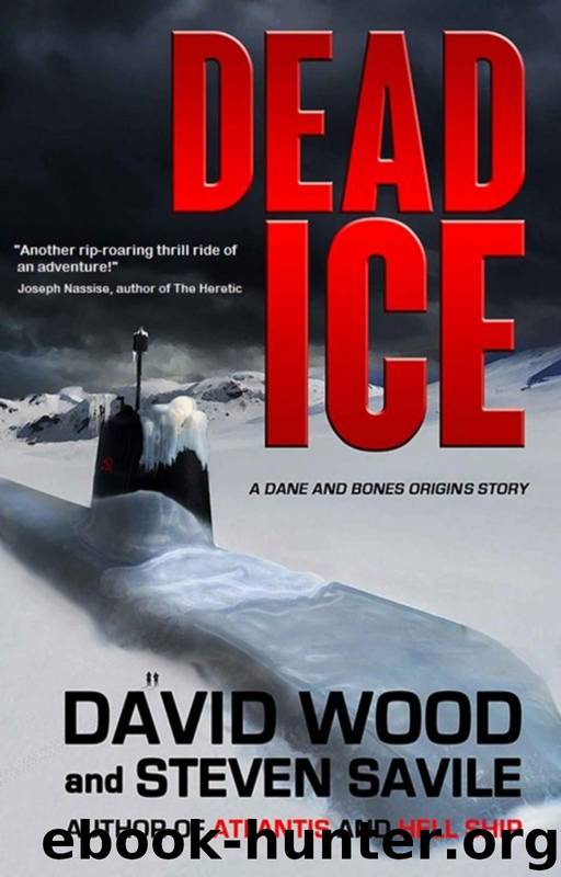 Dead Ice by David Wood