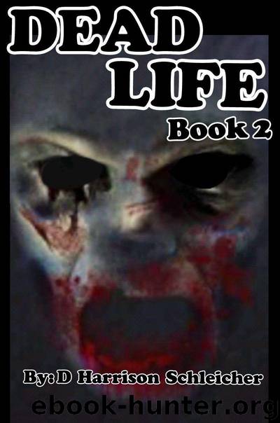Dead Life (Book 2) by Schleicher D. Harrison