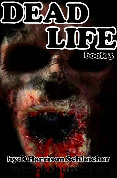 Dead Life (Book 3) by D. Harrison Schleicher