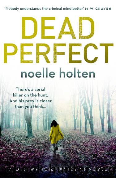 Dead Perfect by Noelle Holten