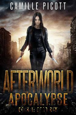 Dead Run: A Post-Apocalyptic Plague Thriller (Afterworld Apocalypse Book 1) by Camille Picott