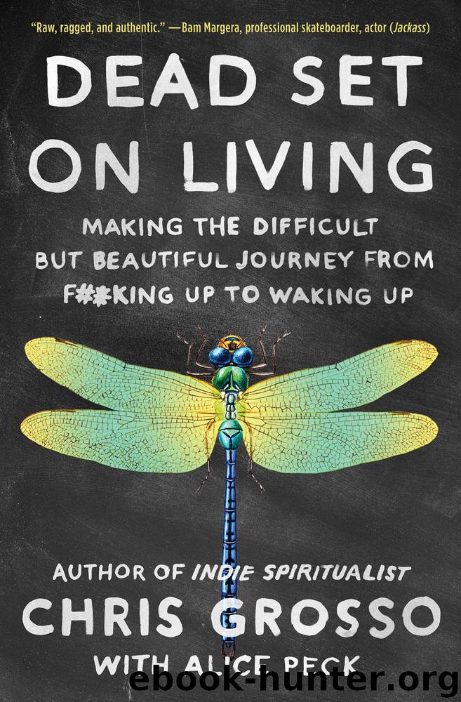 Dead Set on Living by Chris Grosso & Alice Peck