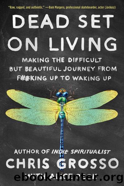 Dead Set on Living: Making the Difficult but Beautiful Journey From F#*king Up to Waking Up by Chris Grosso & Alice Peck