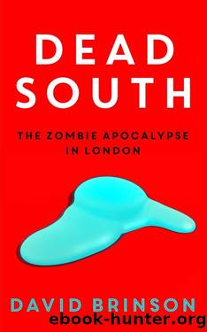 Dead South: The Zombie Apocalypse in London by David Brinson
