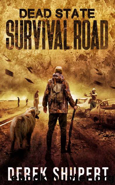 Dead State: Survival Road (A Post Apocalyptic Survival Thriller, Book 2) by Derek Shupert