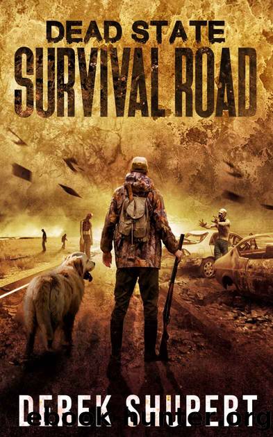 Dead State_A Post Apocalyptic Survival Thriller by Derek Shupert