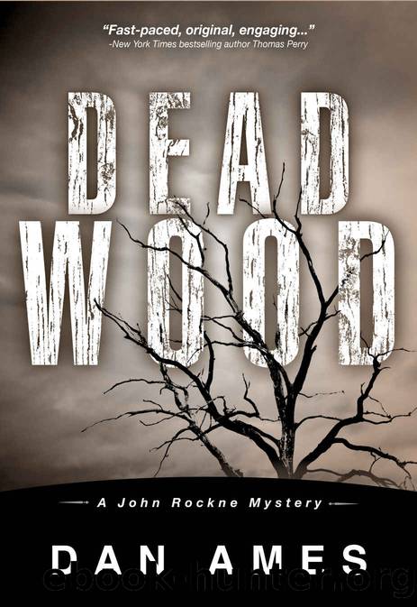 Dead Wood (A Private Investigator Murder Mystery Series) (John Rockne Mysteries Book 1) by Dan Ames