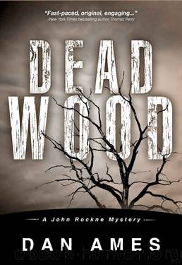 Dead Wood by Dan Ames