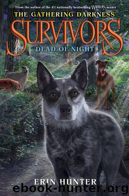 Dead of Night by Erin Hunter
