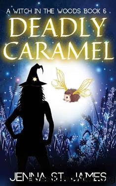 Deadly Caramel (A Witch in the Woods Book 6) by Jenna St. James