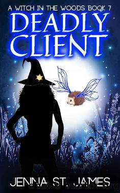 Deadly Client by Jenna St. James