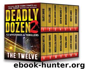 Deadly Dozen 2 by Diane Capri & Brett Battles & Robert Gregory Browne & J Carson Black & Cheryl Bradshaw & Joshua Graham & Allan Leverone & Carol Davis Luce & Aaron Patterson & Michele Scott & Vincent Zandri & Cory Clubb & Jack Patterson