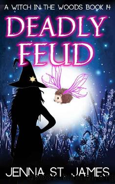 Deadly Feud: A Paranormal Cozy Mystery (A Witch in the Woods Book 14) by Jenna St. James