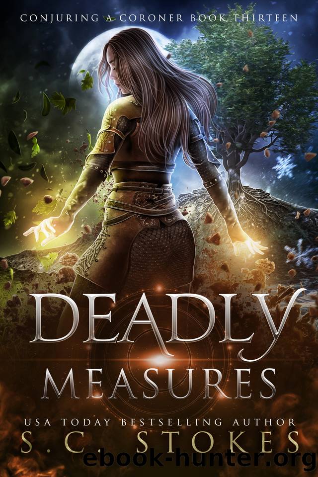 Deadly Measures by S.C. Stokes