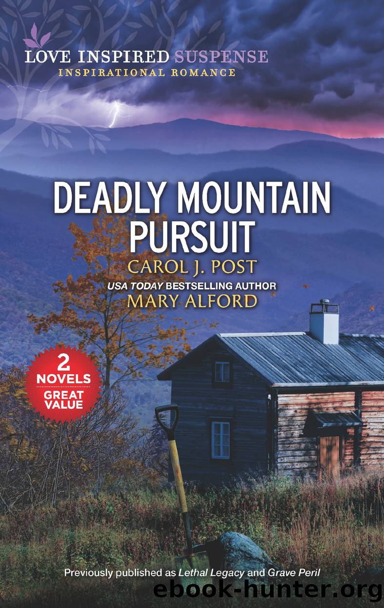 Deadly Mountain Pursuit by Carol J. Post