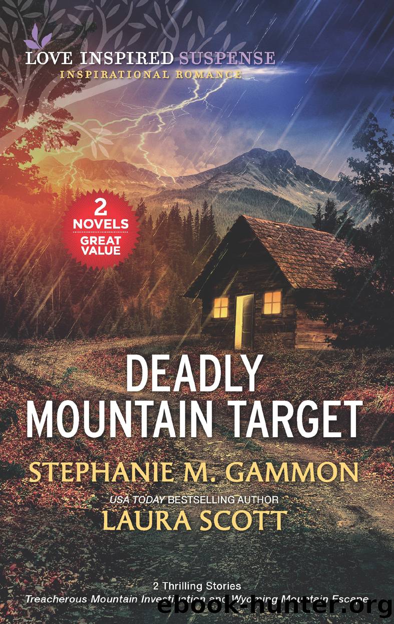 Deadly Mountain Target by Stephanie M. Gammon