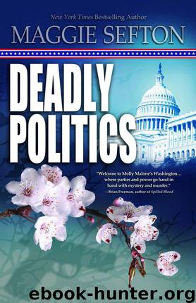 Deadly Politics by Maggie Sefton