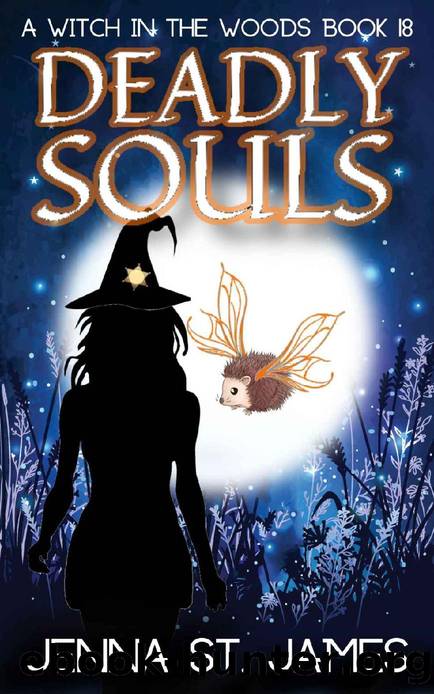 Deadly Souls: A Paranormal Cozy Mystery (A Witch in the Woods Book 18) by Jenna St. James