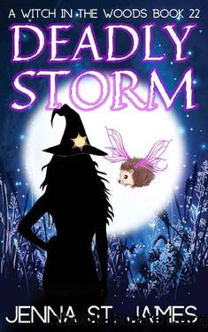 Deadly Storm: A Paranormal Cozy Mystery (A Witch in the Woods Book 22) by Jenna St. James